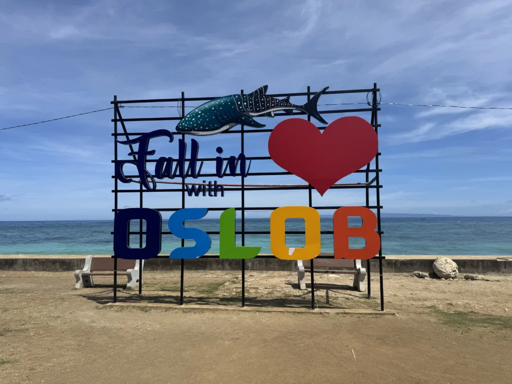 Requin-baleine aux Philippines : où, quand, combien ? 10 requin-baleine Oslob Philippines 2025