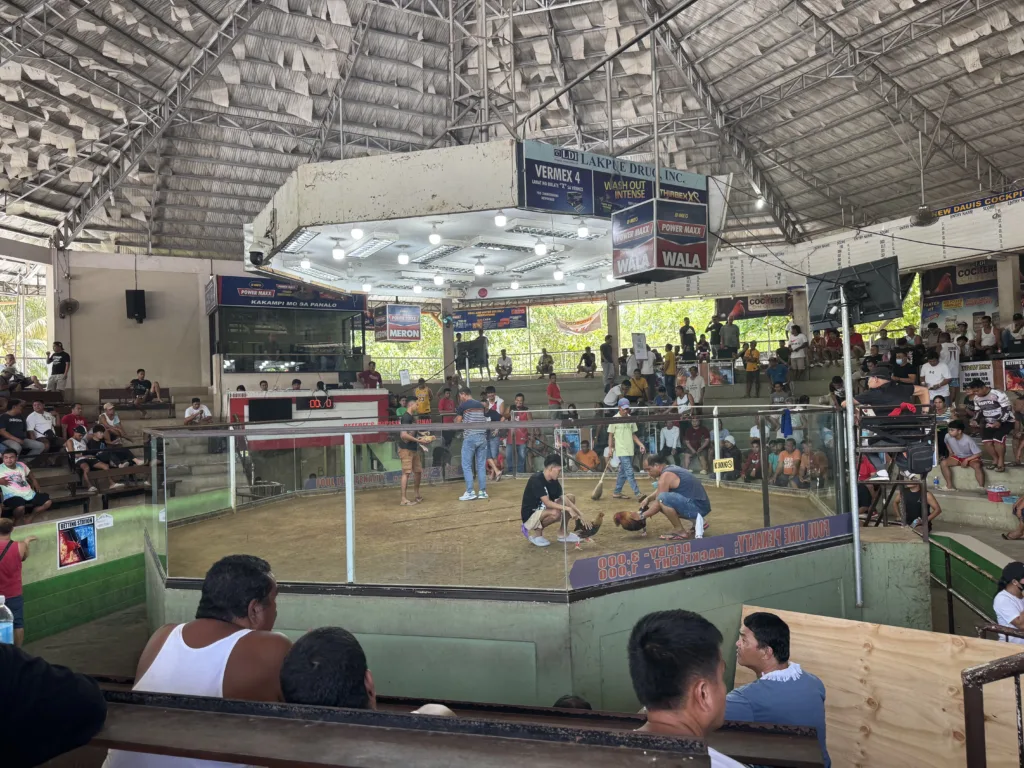 Combat de coqs à Bohol : immersion à la Dauis Cockpit Arena 8 Dauis Cockpit Arena – Bohol