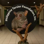 philippine tarsier foundation