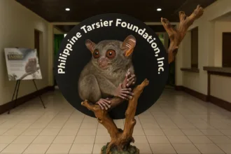 philippine tarsier foundation