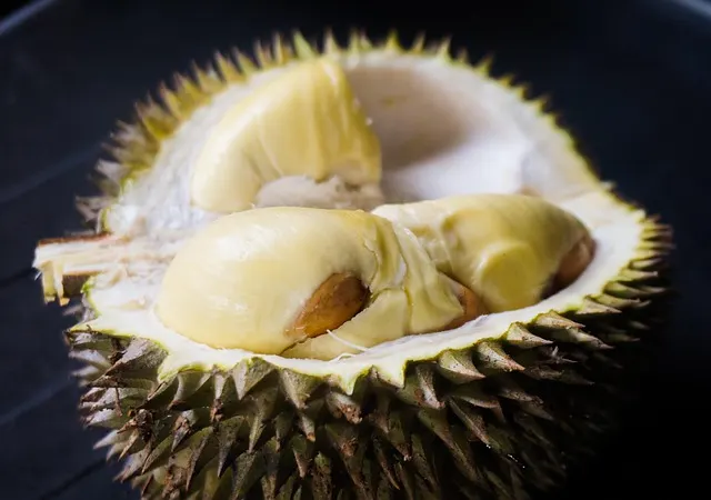 Les 15 fruits thaïlandais à goûter lors de ton voyage 35 Durian