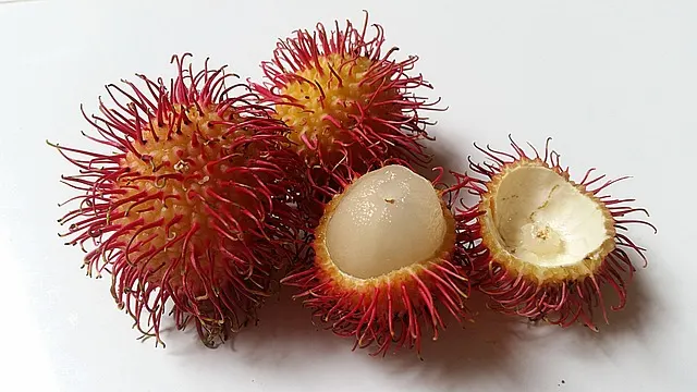 Les 15 fruits thaïlandais à goûter lors de ton voyage 33 Ramboutan