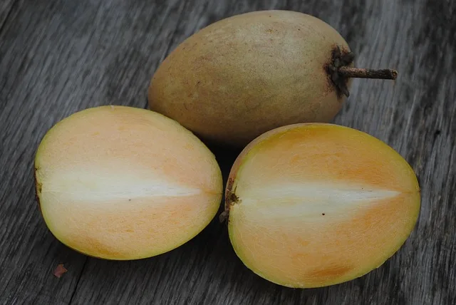 Les 15 fruits thaïlandais à goûter lors de ton voyage 40 Sapotille