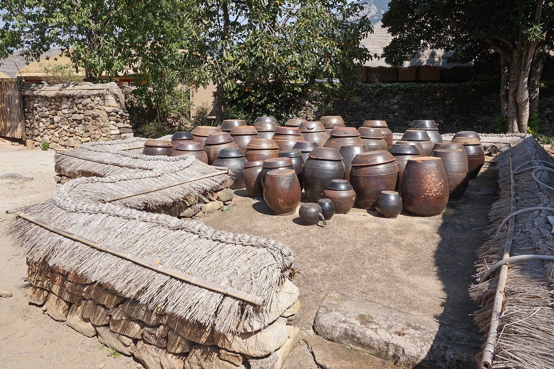 Gochujang : comprendre et utiliser la pâte de piment coréenne 8 Des dizaines de jarres en terre cuite alignées en plein air sur une terrasse coréenne