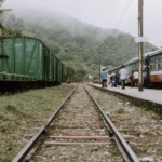 Un train à quai dans la gare de Qui Nhon, sur la côte centrale du Vietnam, entouré de végétation