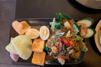 Une assiette de gado-gado, légumes tièdes, tofu et oeuf dur nappés d'une sauce cacahuète brune