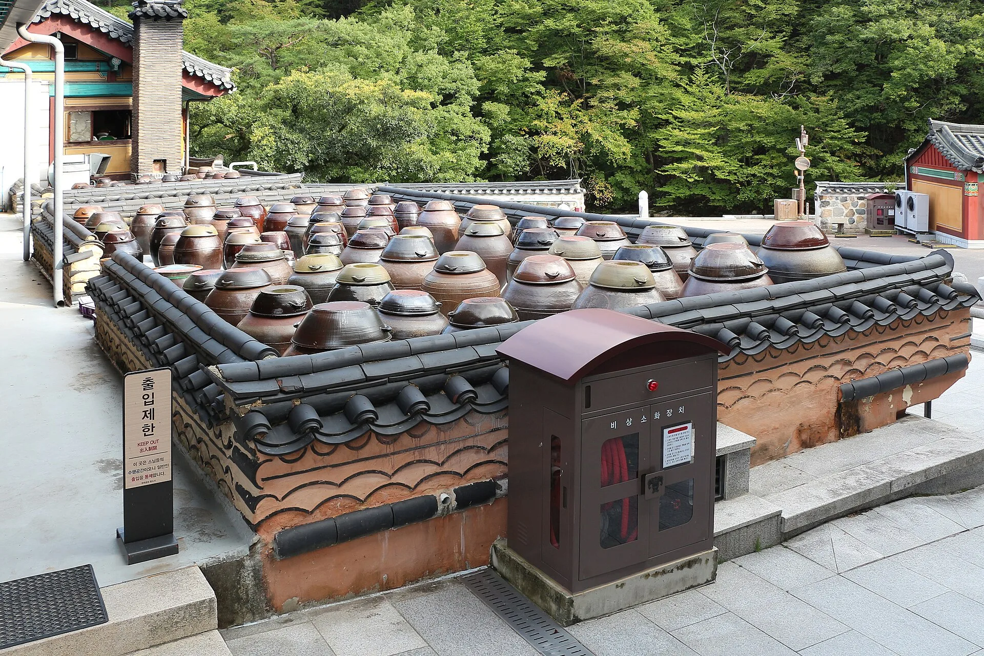 Sauces asiatiques : le guide pour savoir laquelle utiliser 8 Des dizaines de jarres en terre cuite fermées par leur couvercle, alignées sur une terrasse bordée de tuiles devant une forêt