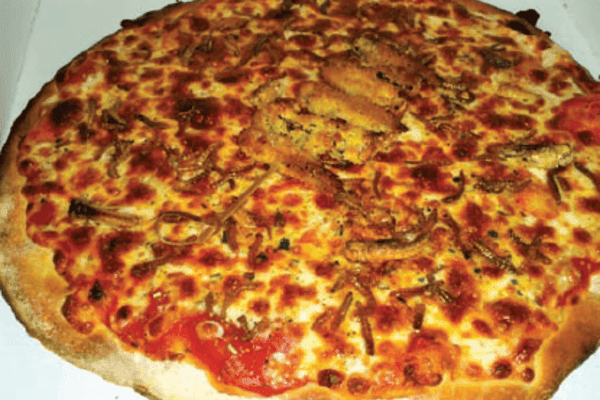 pizza-insecte